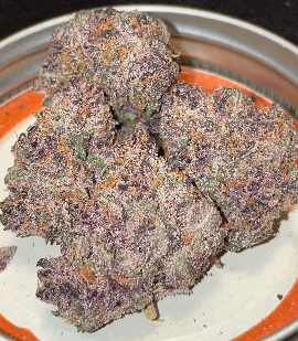 Trap Cherries Marijuana Strain UK