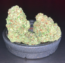 Ghost Train Haze Weed Strain UK