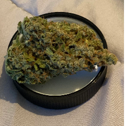 Lilac Diesel Weed Strain UK