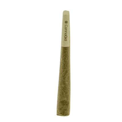 THC Delta 8 Infused CBD Prerolls UK